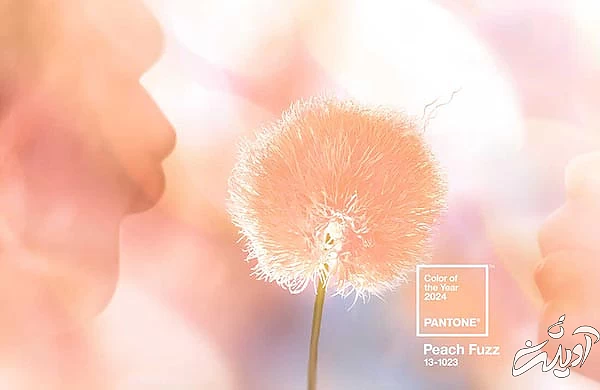 رنگ سال 1403 چه رنگی است؟